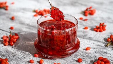 طرز تهیه مربا زرشک