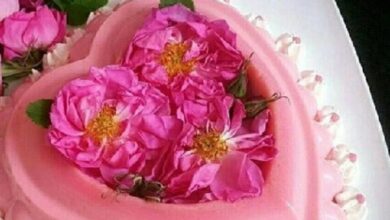 طرز تهیه دسر شامانو